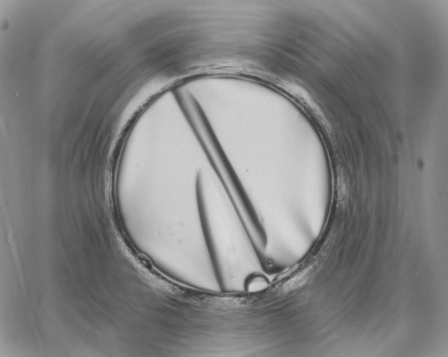 X0000062841424200602031551