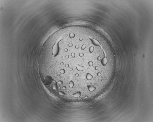 X0000062841425200602031551