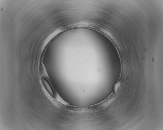 X0000062841426200602031551