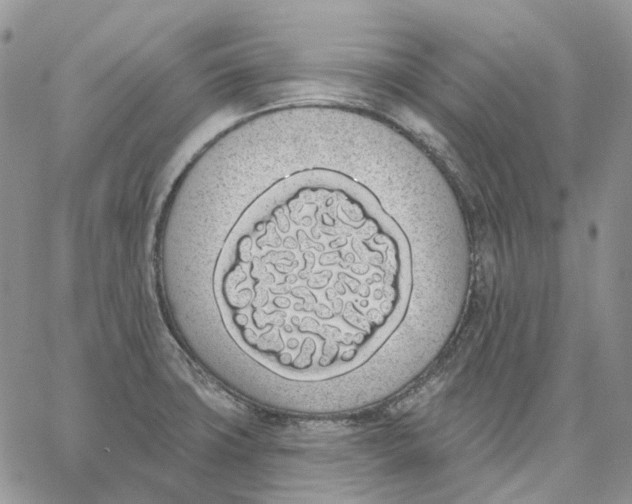 X0000062841427200602031551