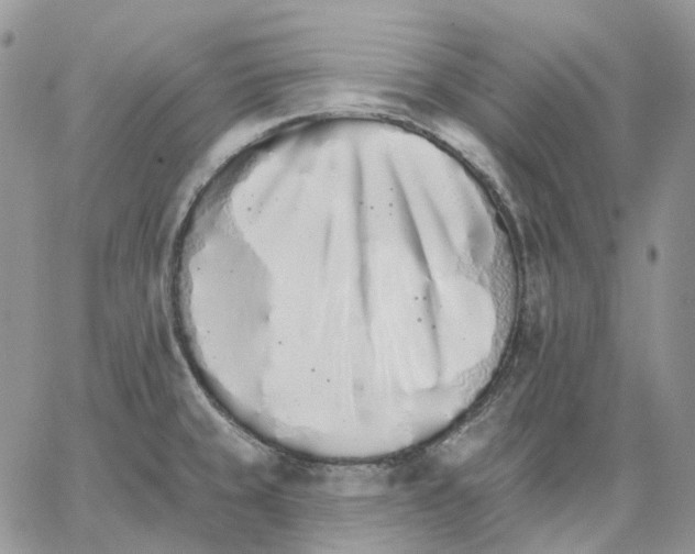 X0000062841429200602031551