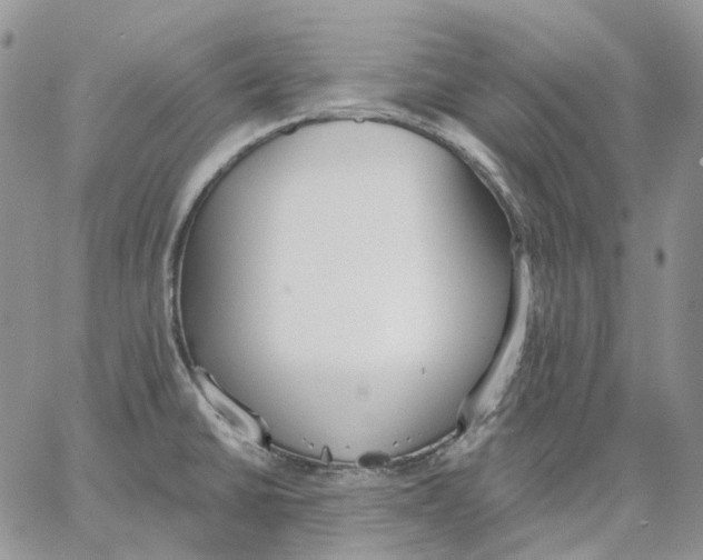 X0000062841430200602031551