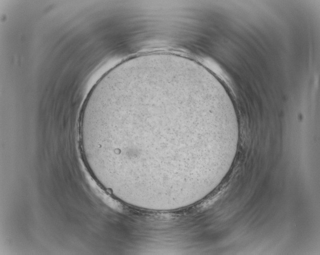 X0000062841431200602031551