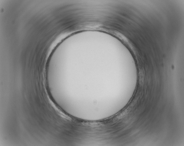 X0000062841432200602031551