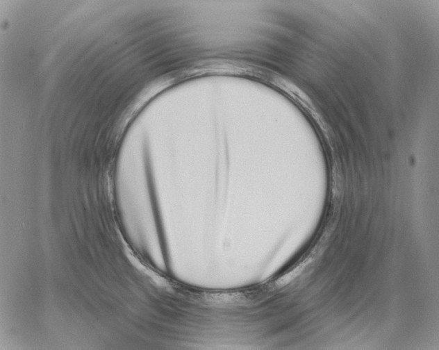 X0000062841433200602031551