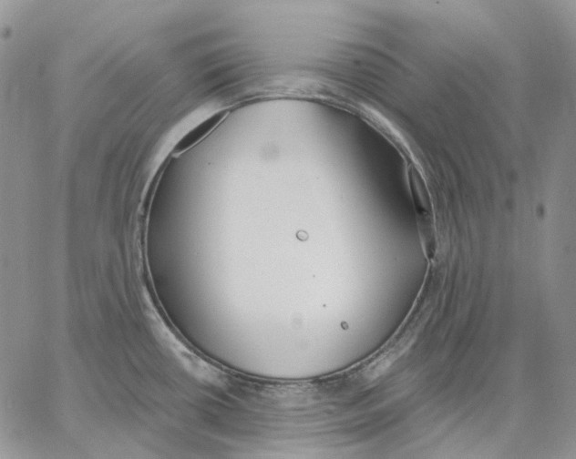 X0000062841434200602031551