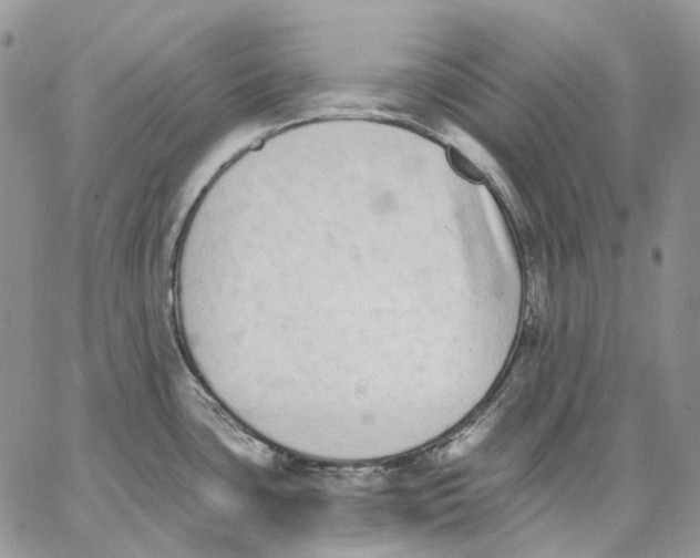 X0000062841435200602031551