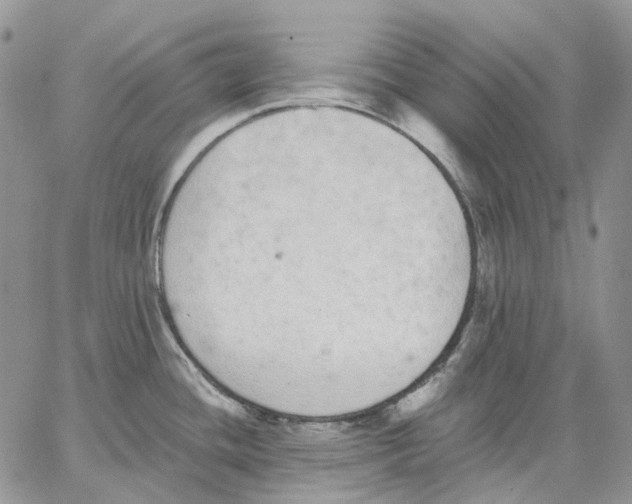 X0000062841436200602031551