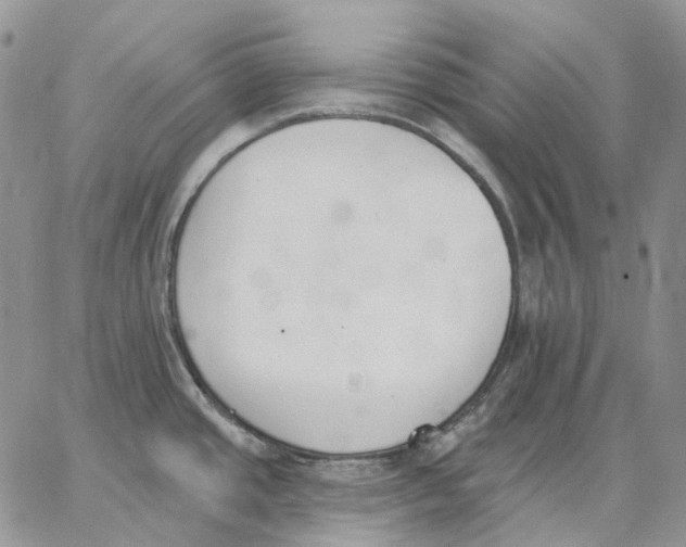 X0000062841437200602031551