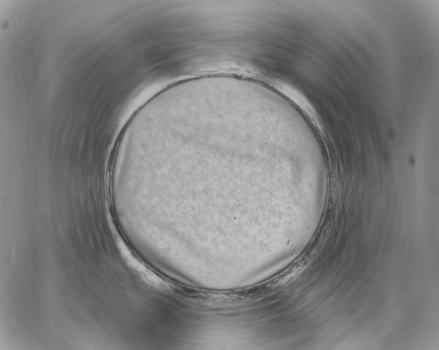 X0000062841439200602031551