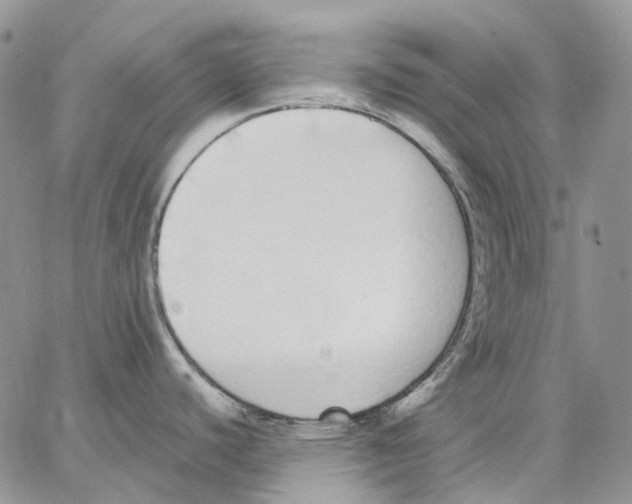 X0000062841440200602031551