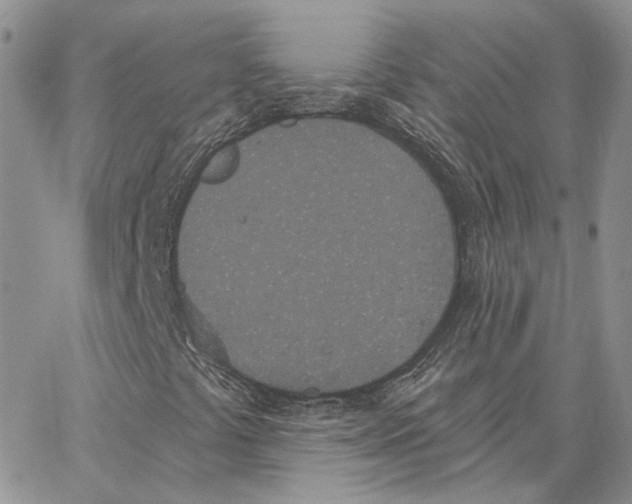 X0000062841441200602031550