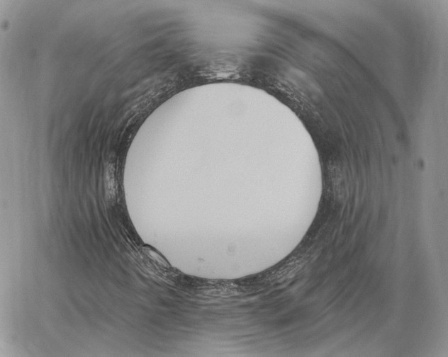 X0000062841442200602031550