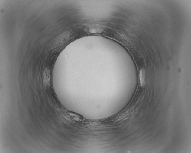 X0000062841443200602031550