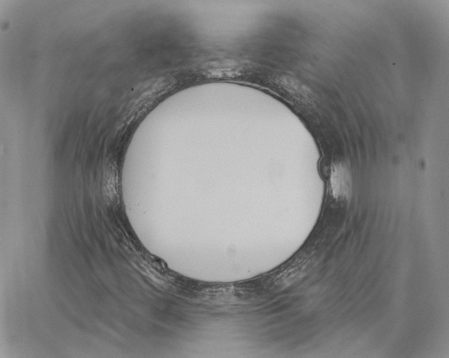 X0000062841444200602031550