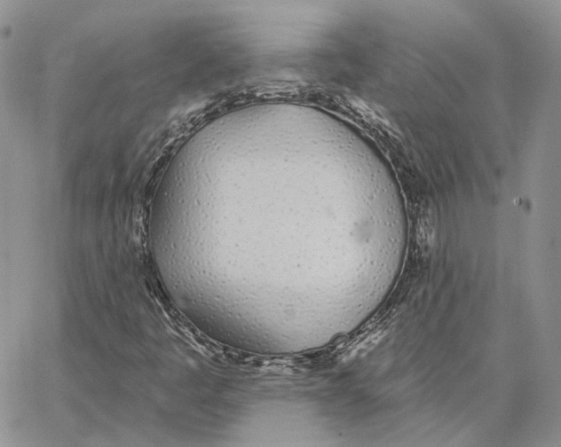 X0000062841445200602031550