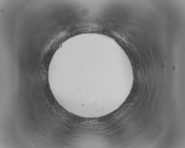 X0000062841447200602031550