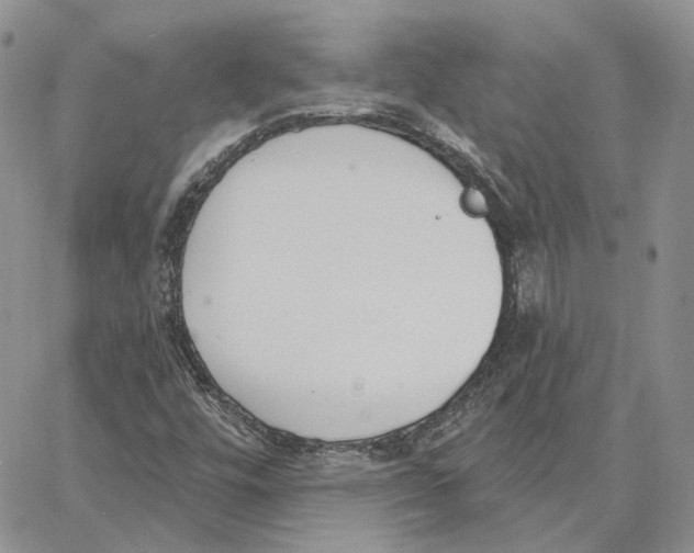 X0000062841448200602031550