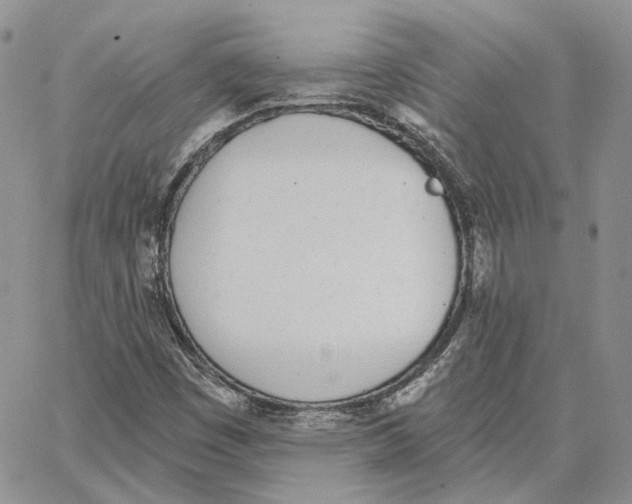 X0000062841449200602031550