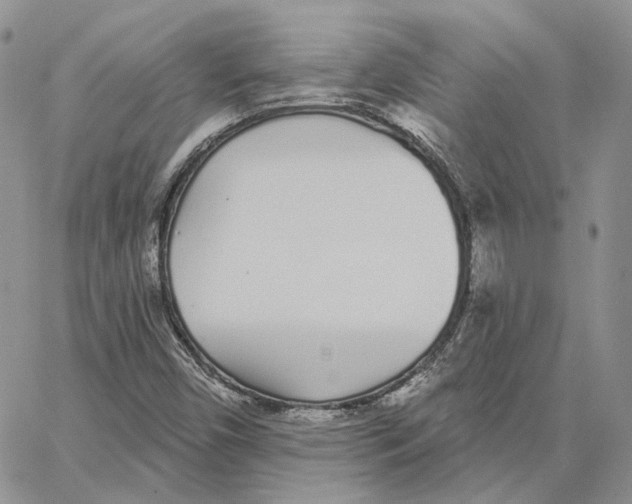 X0000062841450200602031550