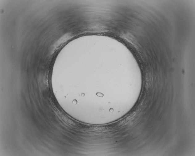 X0000062841451200602031550