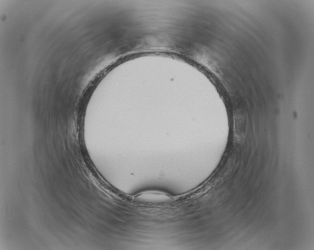 X0000062841452200602031550