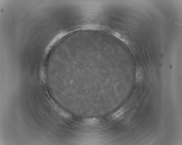 X0000062841454200602031550