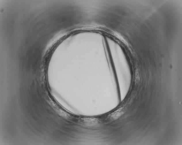 X0000062841456200602031550