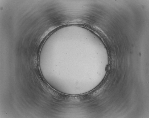 X0000062841457200602031550