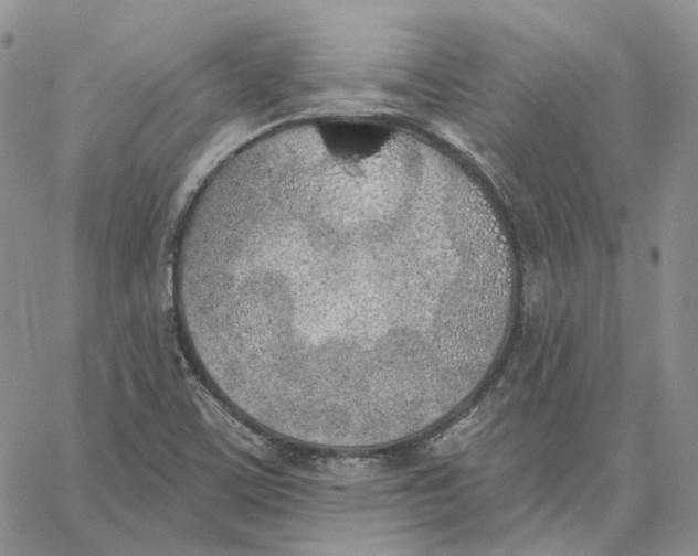 X0000062841459200602031550