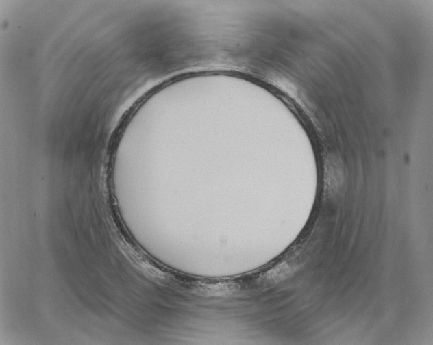 X0000062841460200602031550