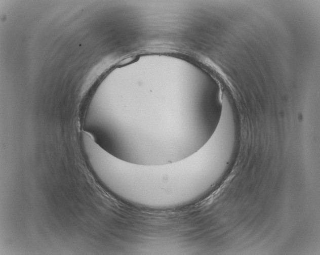 X0000062841461200602031550