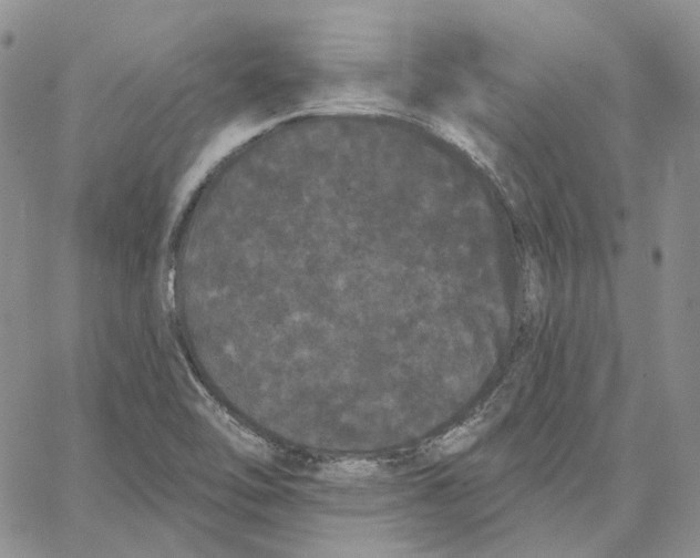 X0000062841462200602031550