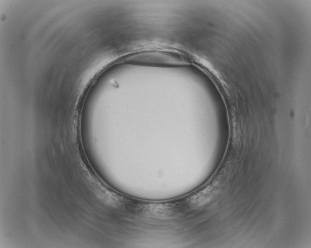 X0000062841463200602031550