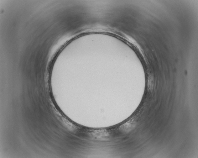 X0000062841464200602031550