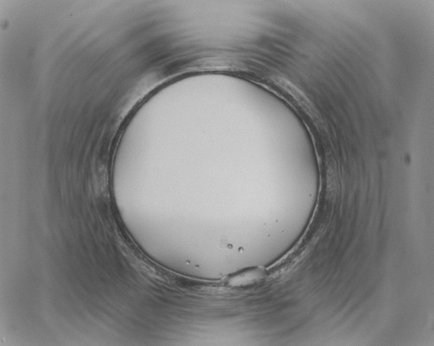 X0000062841465200602031550