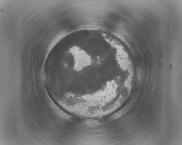 X0000062841466200602031550