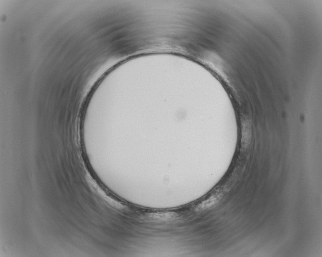 X0000062841468200602031550