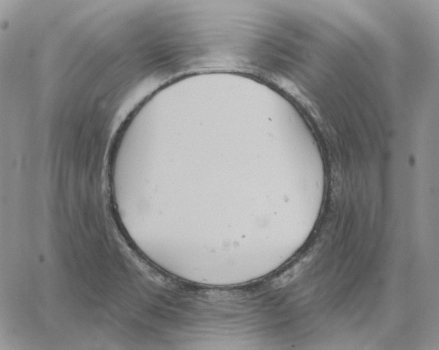 X0000062841469200602031550