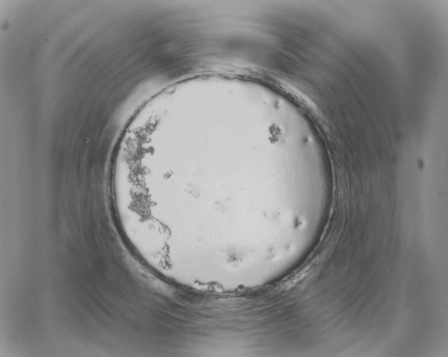 X0000062841471200602031550