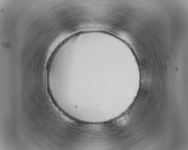 X0000062841472200602031550