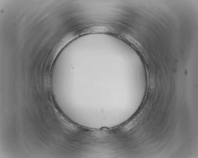 X0000062841473200602031550