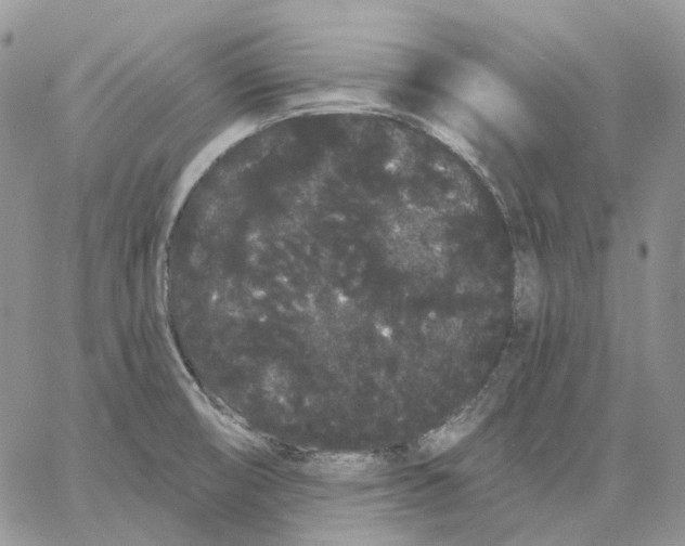 X0000062841474200602031550