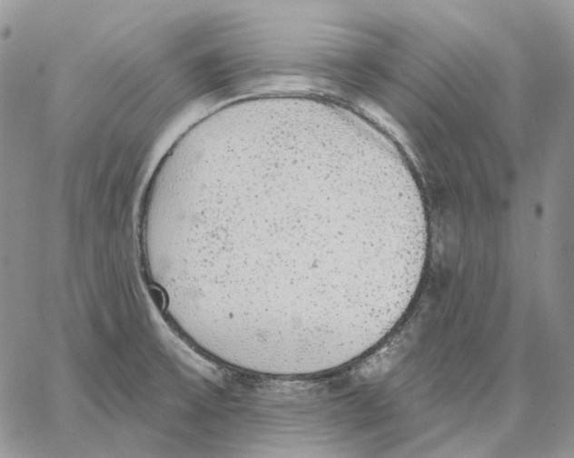 X0000062841475200602031550