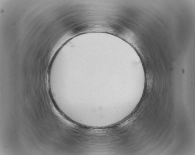 X0000062841476200602031549