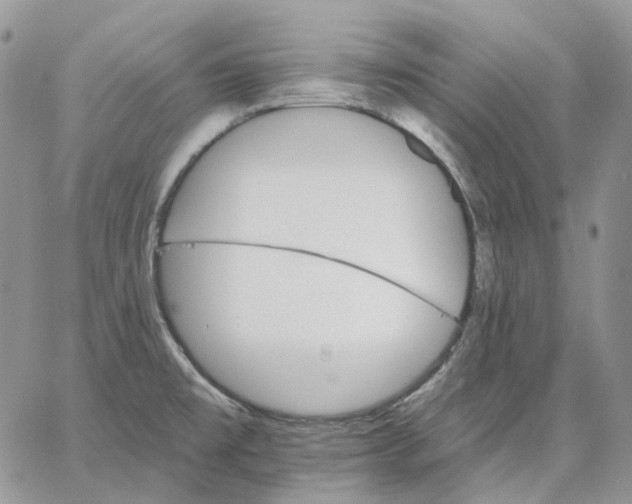 X0000062841477200602031549