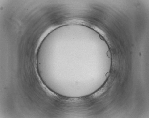 X0000062841478200602031549