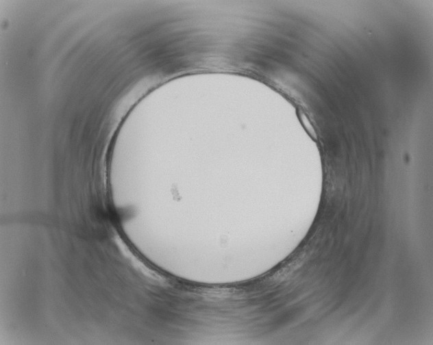 X0000062841479200602031549