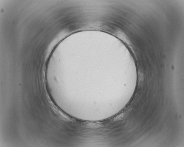 X0000062841480200602031549