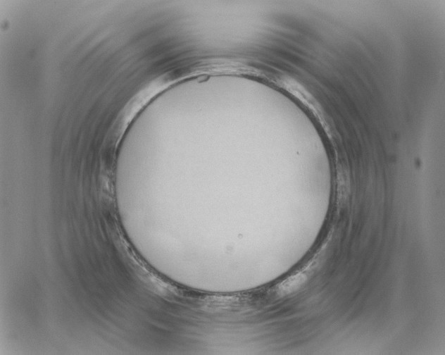 X0000062841481200602031549